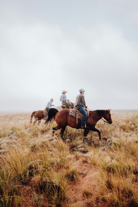 a group of people riding horses through a dry grass field