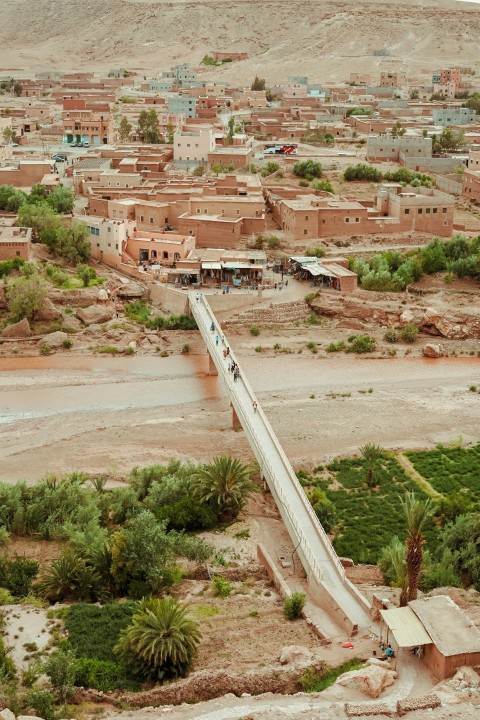 birds eye view photography of bridge