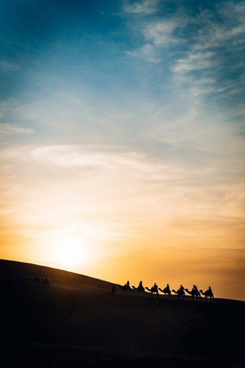 a group of people riding camels across a desert cnpdW