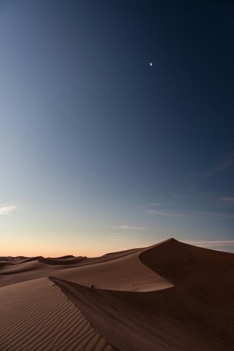 brown sand under blue sky during daytime