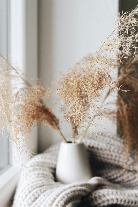 brown plant in white ceramic vase