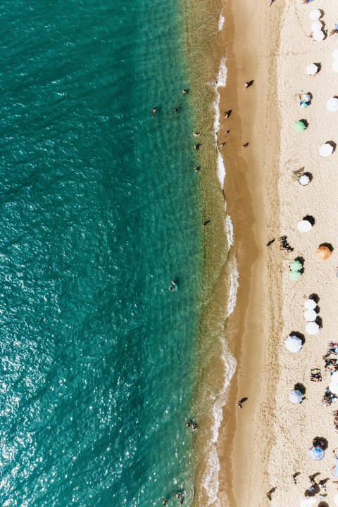 a group of people standing on top of a beach next to the ocean