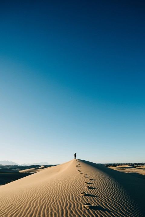 a person standing on top of a sand dune