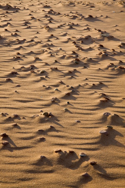 white sand with footprints during daytime