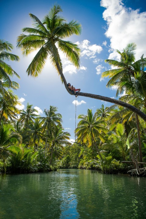 green coconut tree near body of water during daytime Za4po7o