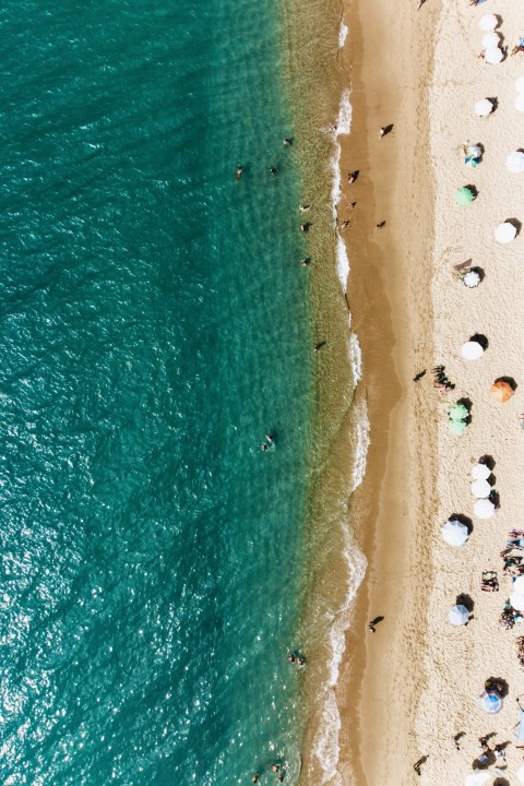 a group of people standing on top of a beach next to the ocean