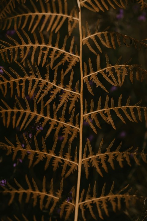 a close up of a spider web