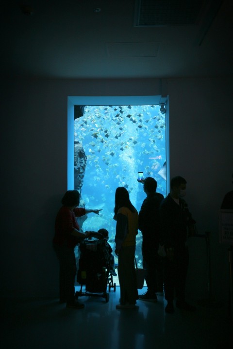 silhouette of people standing in front of blue and white map