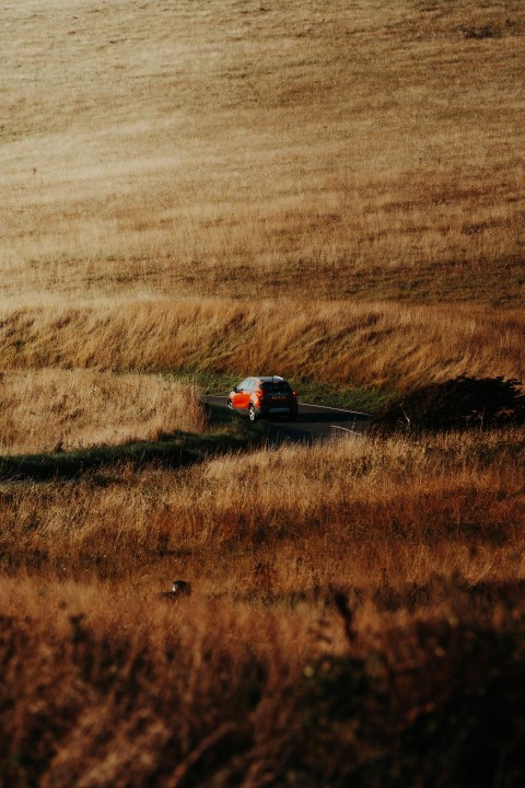 a truck driving through a field of tall grass