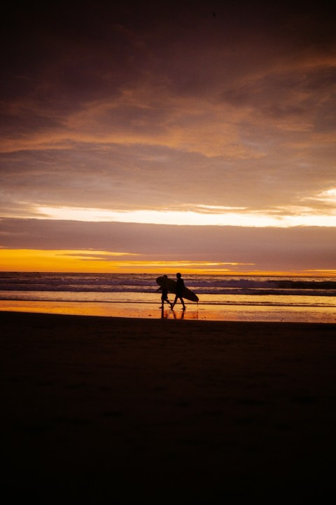 a person walks with a dog on the beach 7kT1o