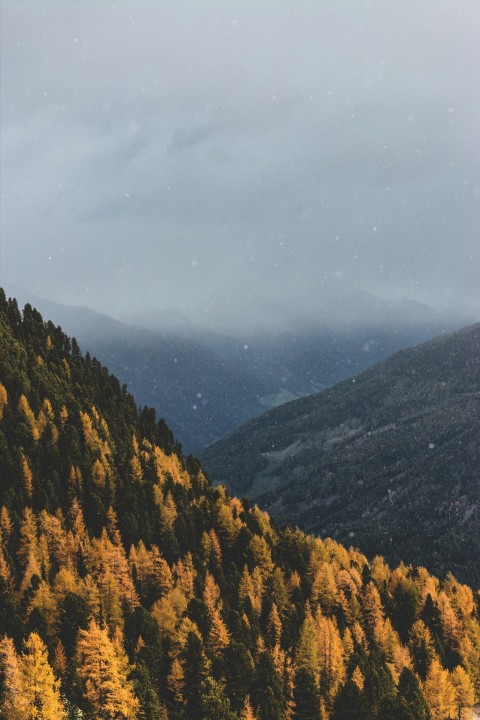 clouds covered moutain