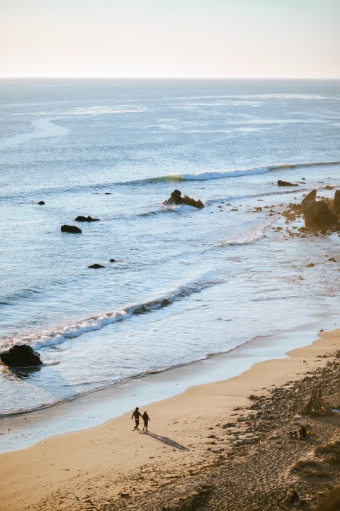 people on beach during daytime