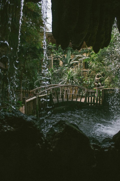 brown wooden bridge over water