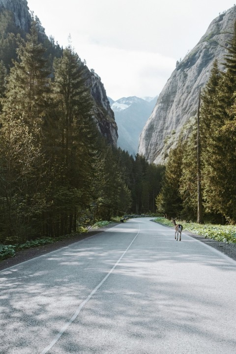 two people walking down the middle of a road