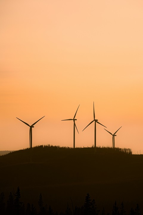 wind turbines on green grass field during sunset