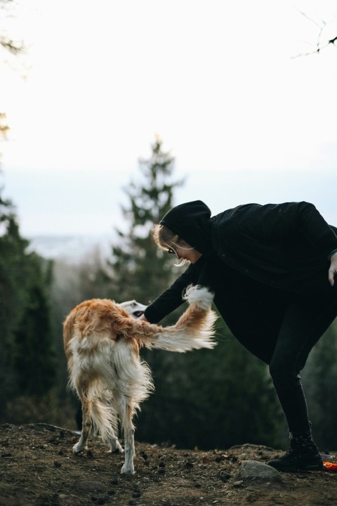 woman in black jacket and black pants holding brown long coated dog Xg