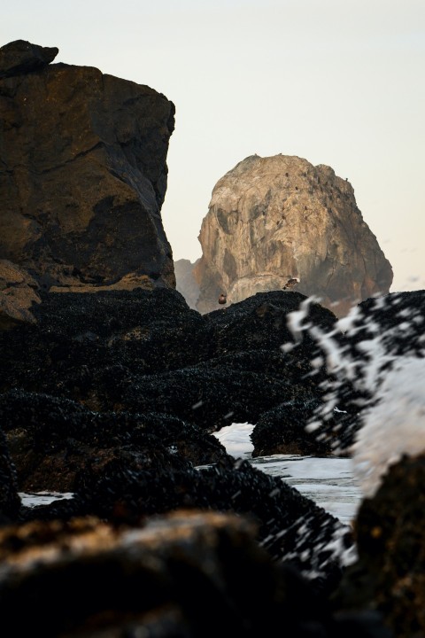 a large rock sitting on top of a beach next to the ocean