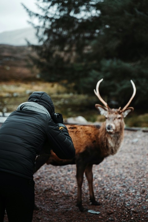 person in black jacket and black pants with brown deer on brown field during daytime XcWKh