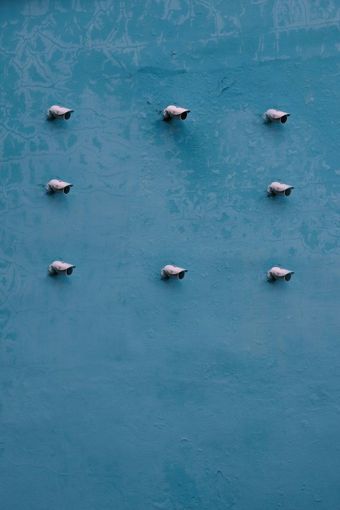 a flock of birds sitting on top of a blue surface