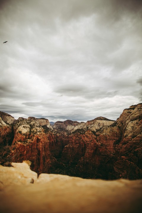 a bird flying over a mountain range under a cloudy sky