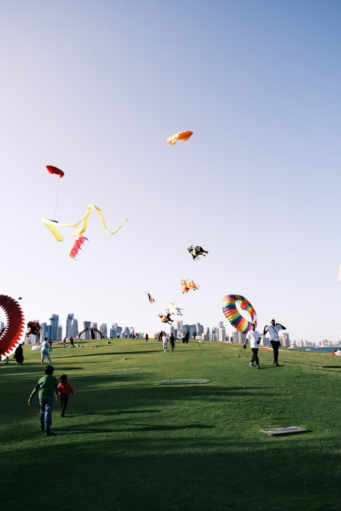 a group of people flying kites in a field