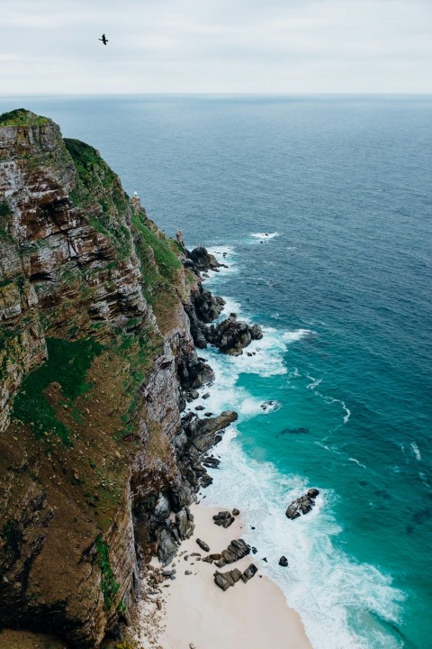 aerial photography of moss covered cliff near body of water during daytime li