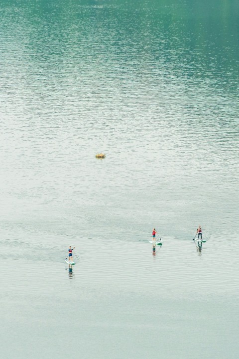 people on beach during daytime