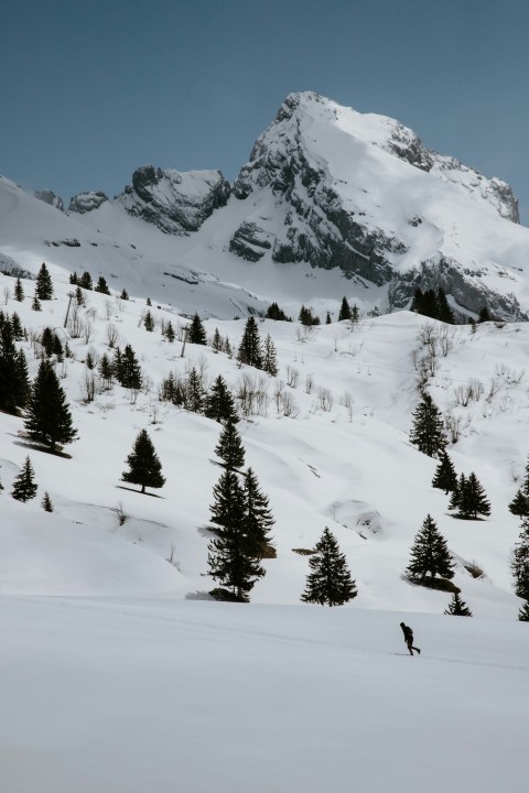 person walking on snow covered mountain during daytime