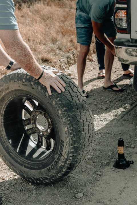 person holding vehicle wheel