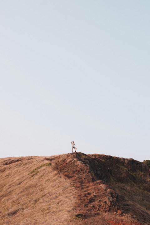 person standing on brown rock mountain during daytime