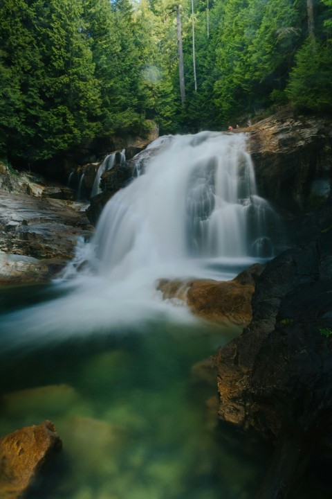 a small waterfall in the middle of a forest