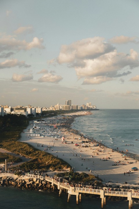 birds eye photography of city near shoreline and body of water