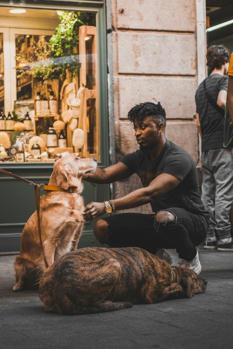 man in black crew neck t shirt petting golden retriever at the street