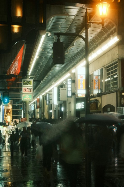 a group of people walking down a street holding umbrellas