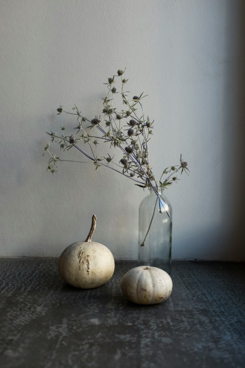 white round fruit on black table jynT