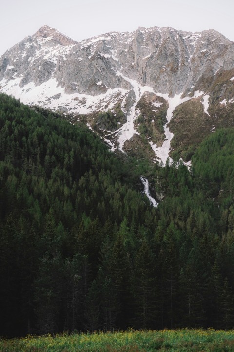 green trees near snow covered mountain during daytime ZgObn