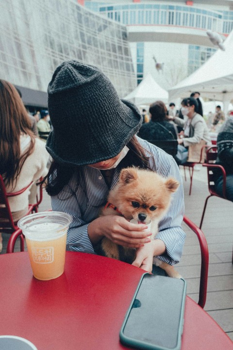 woman in black knit hat holding brown pomeranian puppy