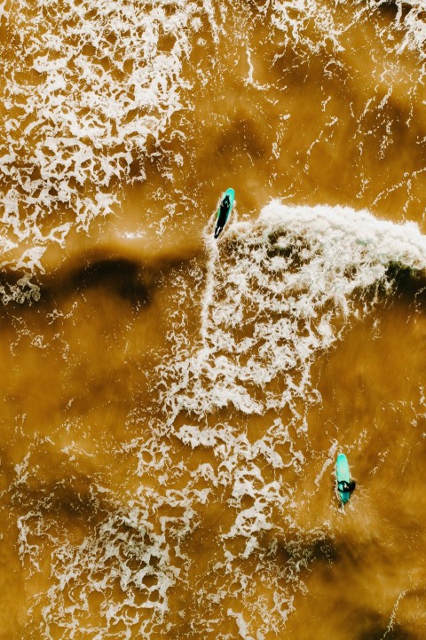 person in blue and black wetsuit surfing on water wave