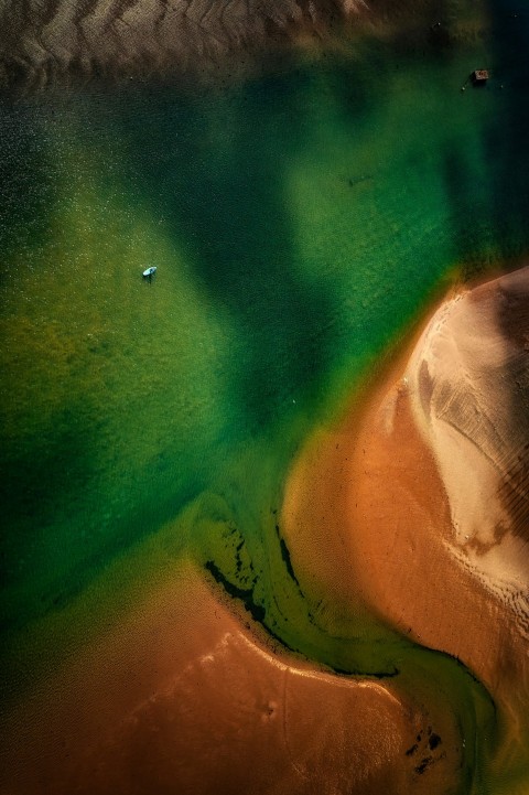 a persons foot with a green and yellow substance on it 4Cgmc3r24