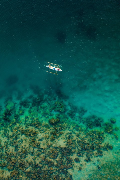 white and brown boat on blue sea water during daytime