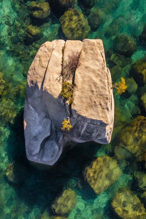 brown rock on body of water