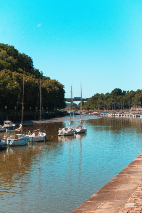 a body of water filled with lots of boats