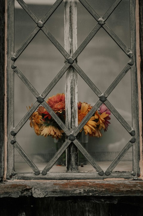 red and yellow flower on black metal frame