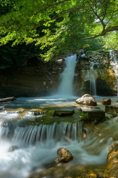 waterfalls in the middle of green trees