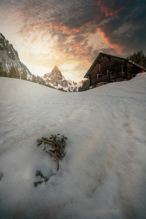 a snow covered field with a building in the background