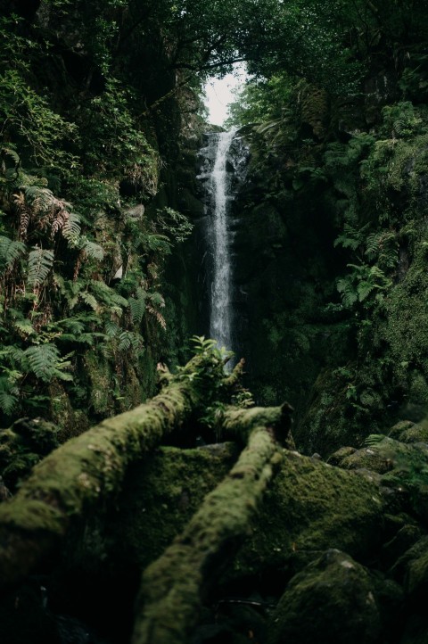 a very tall waterfall in the middle of a forest NIL72oO