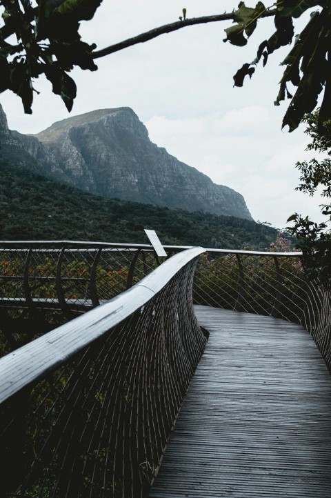 brown wooden bridge over the green mountain during daytime