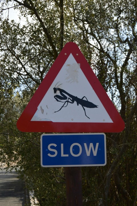 a street sign with a picture of a bug on it