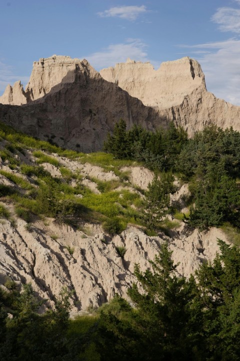 a large mountain with trees on the side of it 6