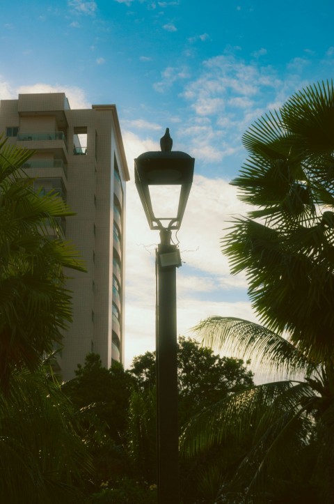 a street light sitting next to a tall building